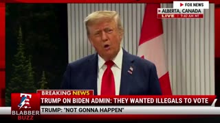 Trump On Biden Admin: They Wanted Illegals To Vote