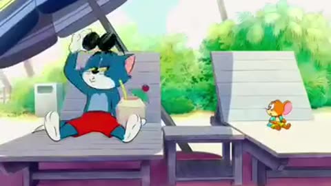 So funny videos