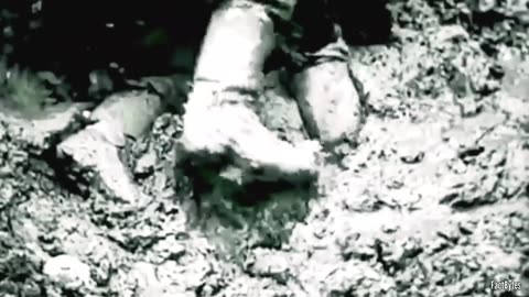 When Tigers Crushed IS-2s The Fierce Battle at Targul Frumos That Stopped Soviet Armor