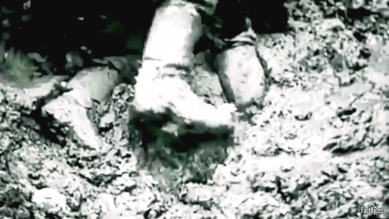 When Tigers Crushed IS-2s The Fierce Battle at Targul Frumos That Stopped Soviet Armor