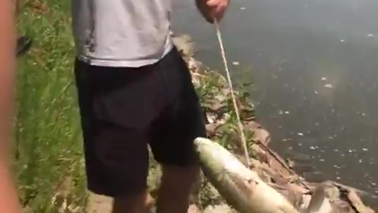 🎣🤯 Bowfishing Is A Whole New Level Of Angling! | FeedMyCuriosity