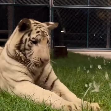 Trying to stop a water leak