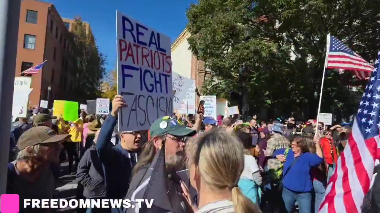 Pro-Trump protestors are being HARASSED and even ASSAULTED by leftists