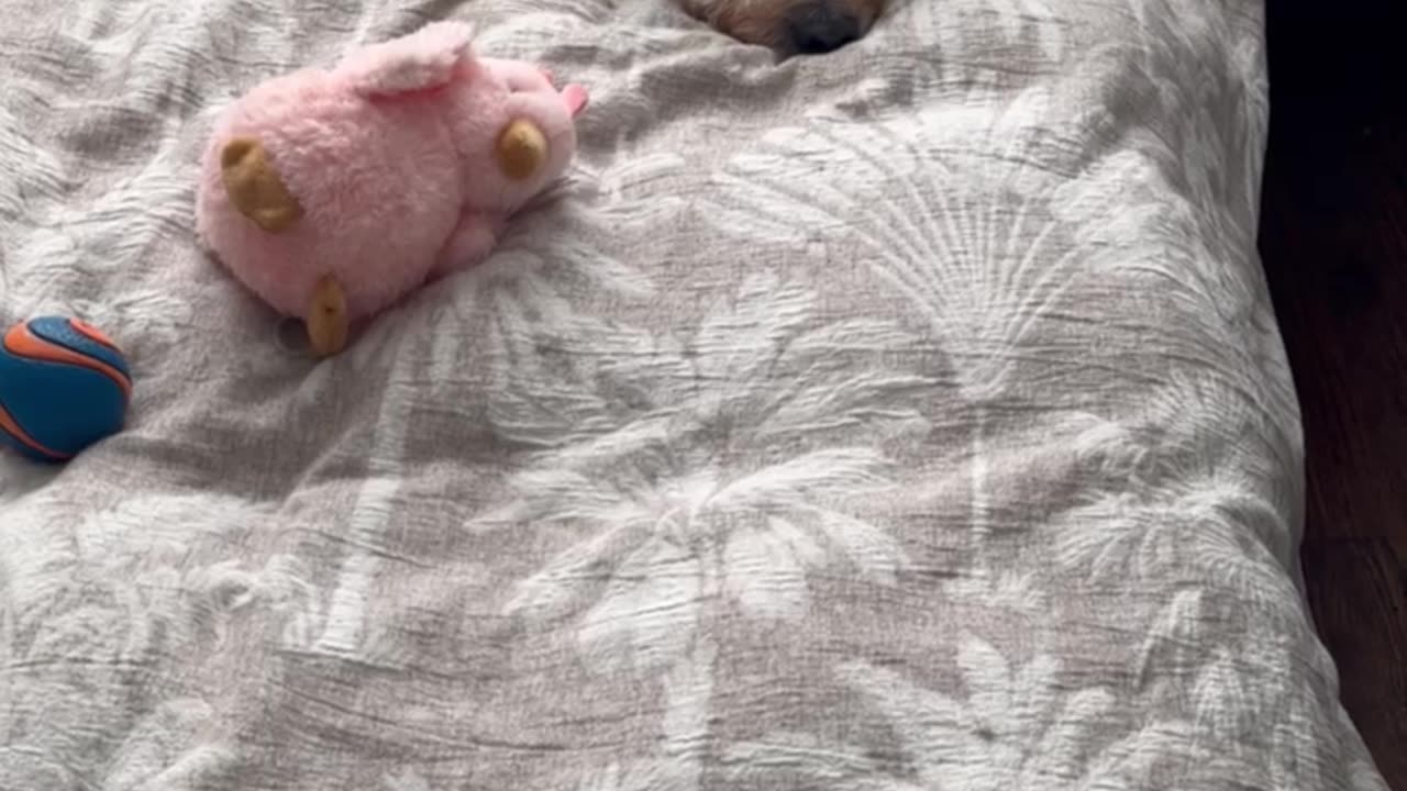 BERKELEY Tired