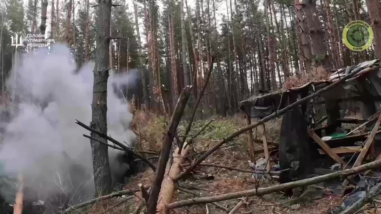😎🔥 GUR, Autumn 2024: episodes of assault in the forest in the Kharkiv region.