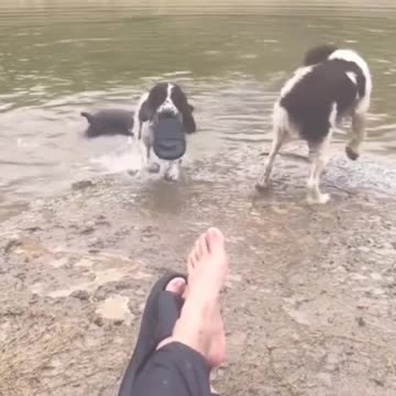 Now throw that thing.. 😂