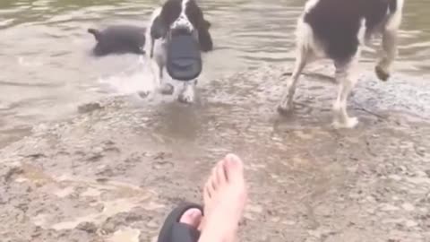 Now throw that thing.. 😂