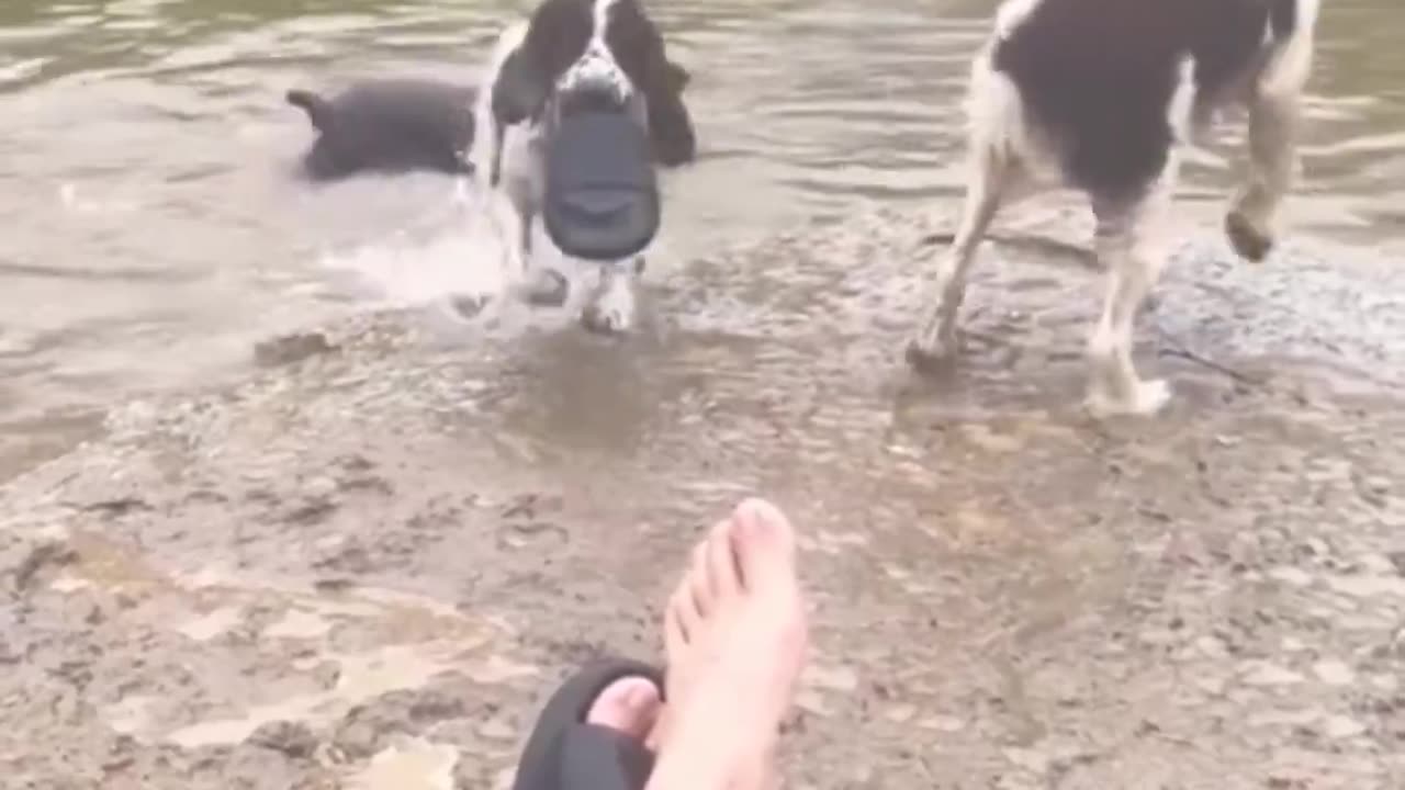 Now throw that thing.. 😂