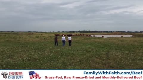 FaithNFreedomTV: Media Freed From Deception!