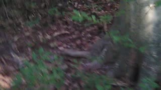 Cleaning it up 6 Pt. 1