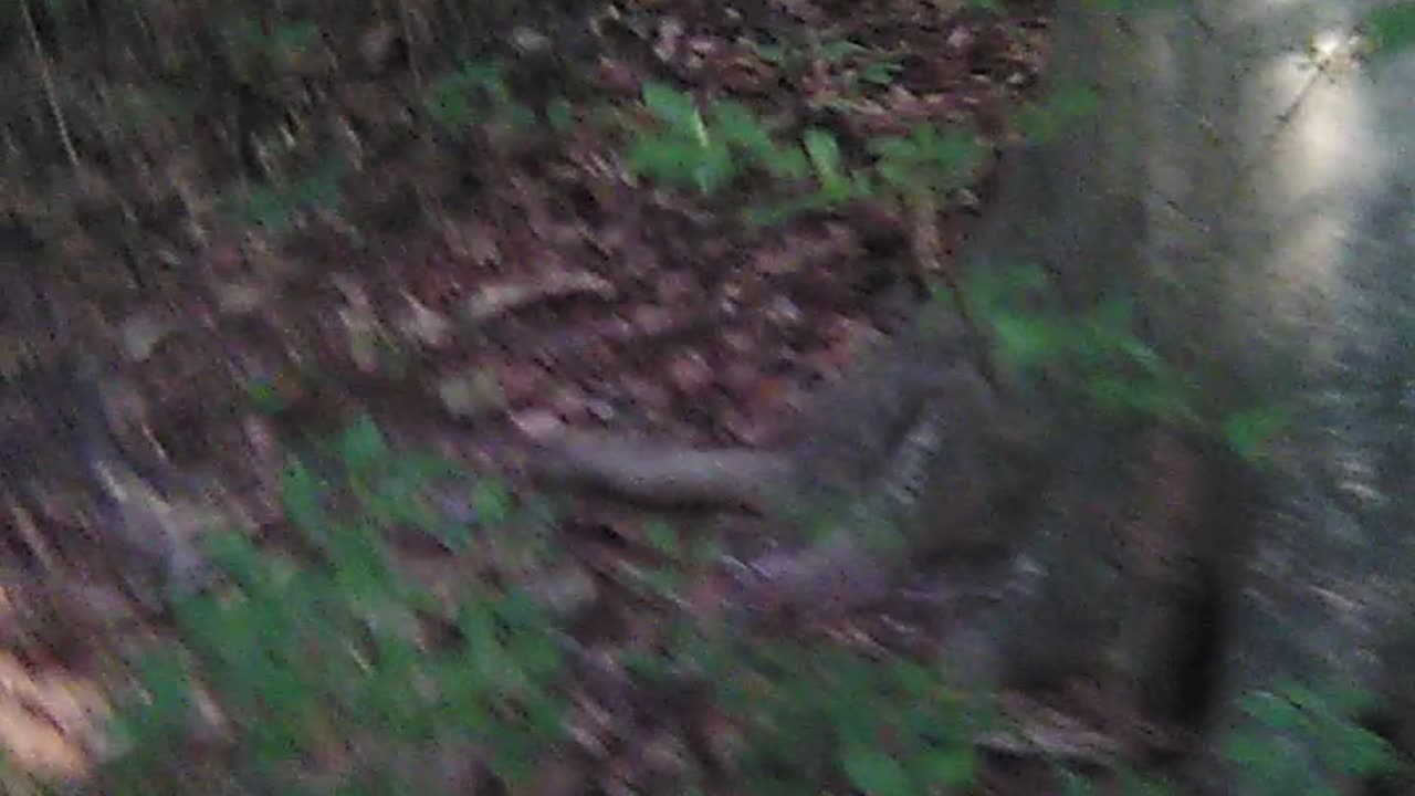 Cleaning it up 6 Pt. 1