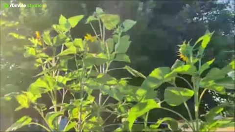 Morning Crew - Garden Tour Tuesday - July 15, 2025