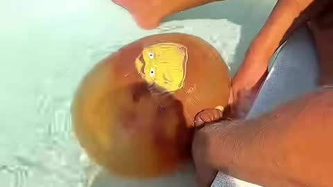 Funny