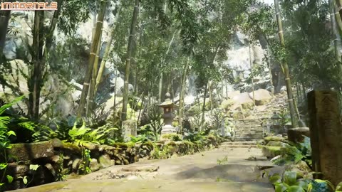Yong Sheng S 3 Episodul 16