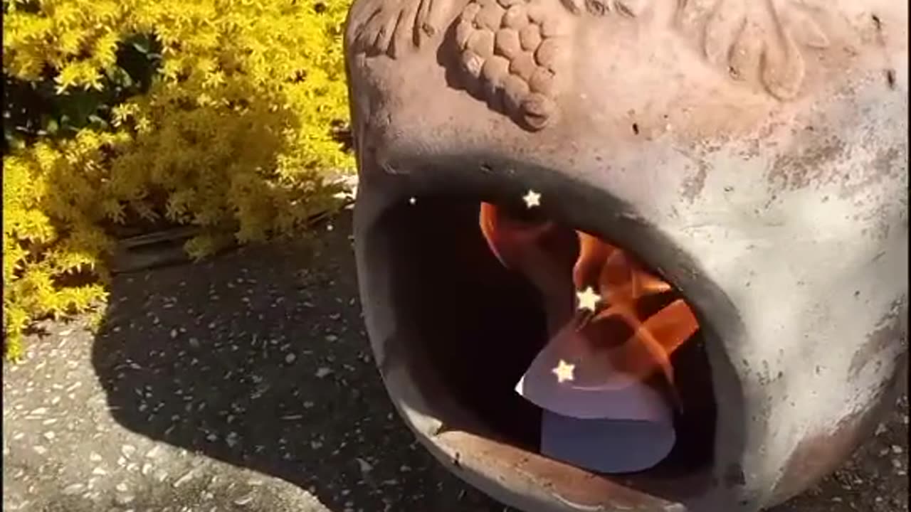 Tim Rifat TikTok Videos