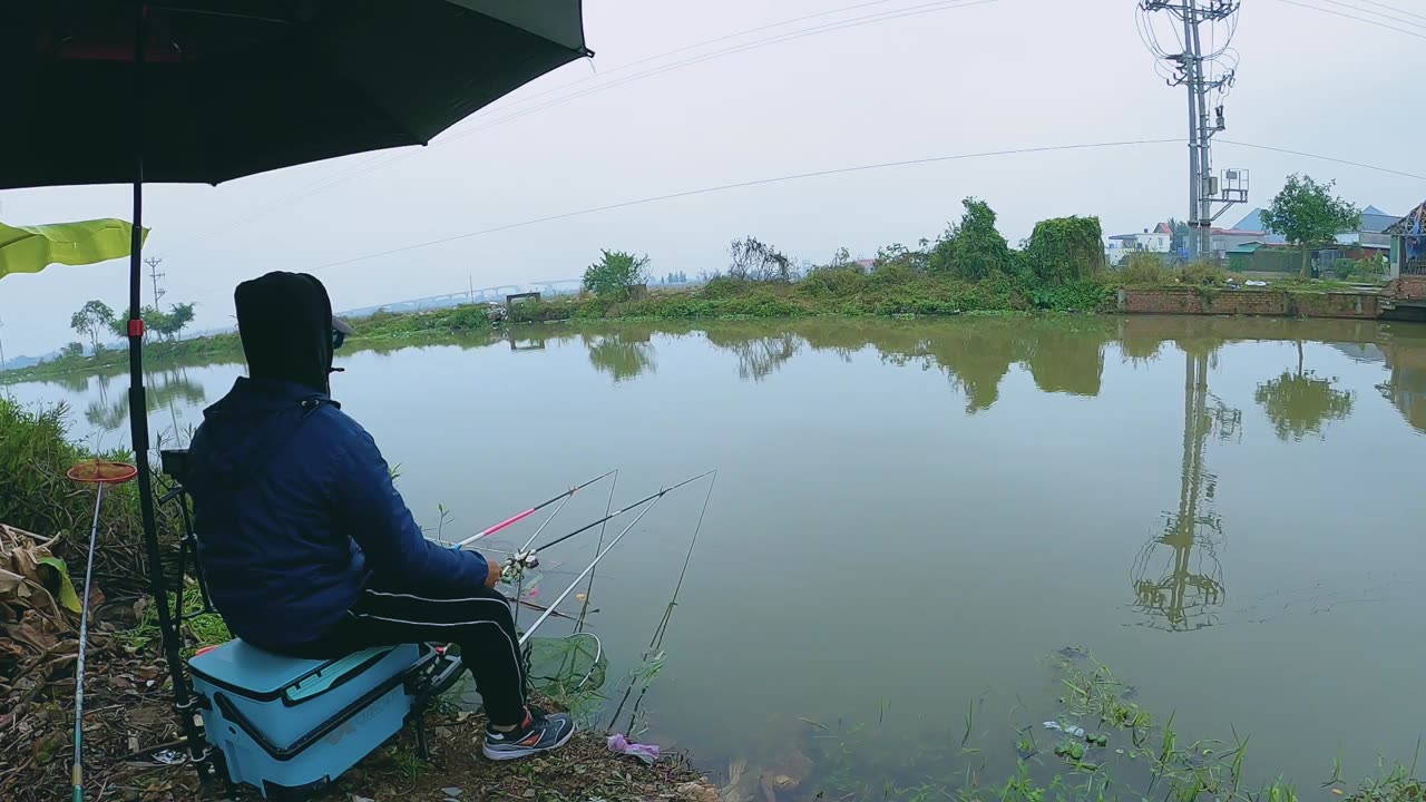 Trout Treasures A River Jewel