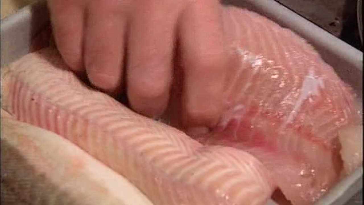 Rick Stein's Taste of the Sea - Episode 01 [1995]