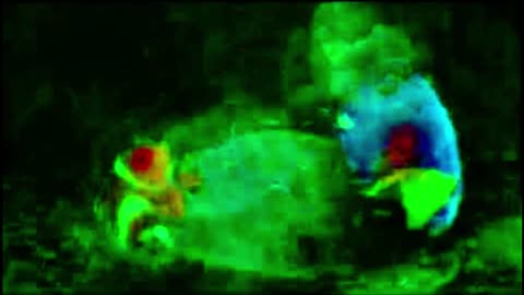 Teletubbies Lost Episode Credits Variants and Finding Nemo Alternate Ending