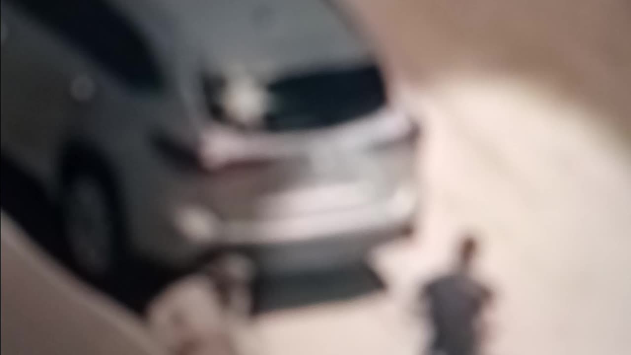 Protester appears to fire at federal agents