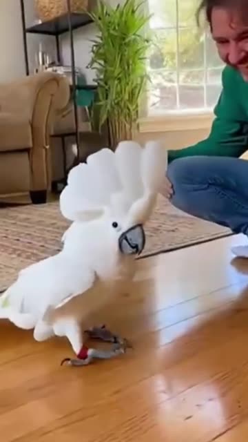 THANK GOD 😅IT’S FRIDAY!