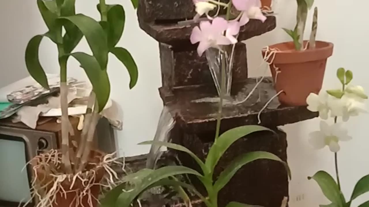 Indoor waterfall