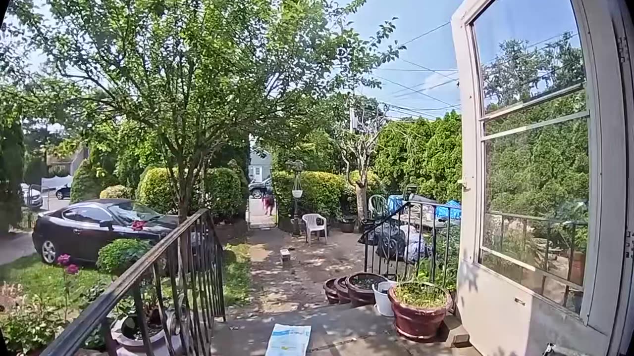 Delivery Person Throws New Gaming Console Box On Brick Ground