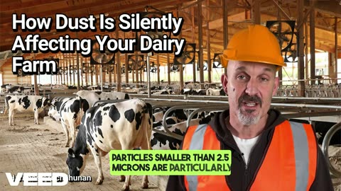 Invisible Enemies: How Dust Is Silently Affecting Your Dairy Farm