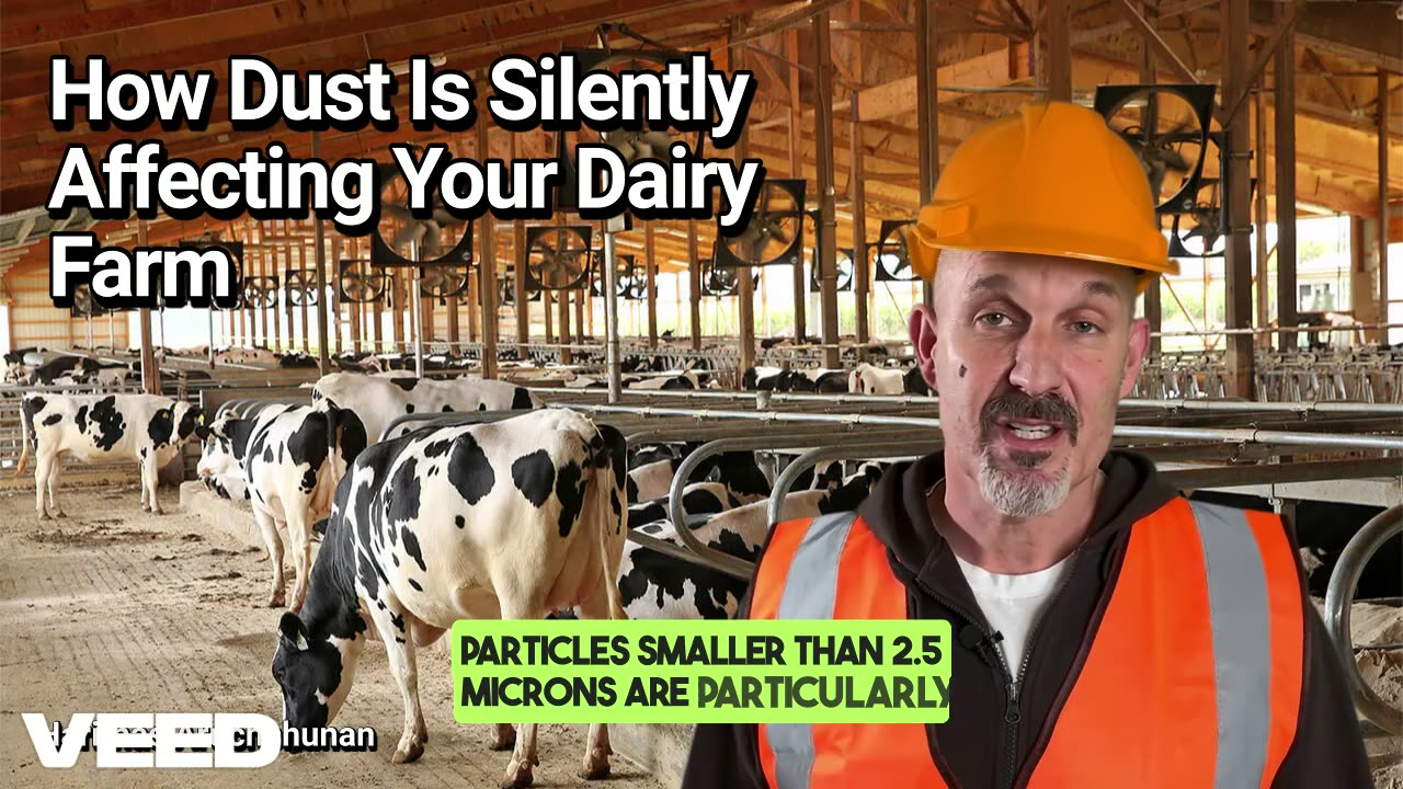 Invisible Enemies: How Dust Is Silently Affecting Your Dairy Farm