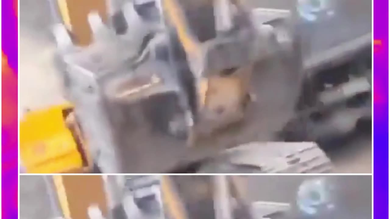 Narrow Escape in Himachal: Landslide Shuts Tunnel Gate in Mandi, No Casualties!