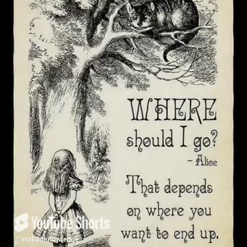 WERE ALL MAD HERE 🕳🐇😆