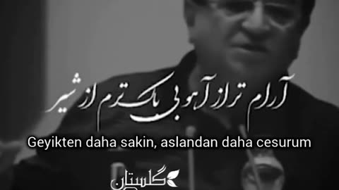 شعر زیبا
