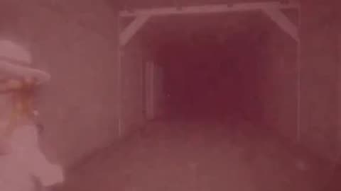 petapeta roblox