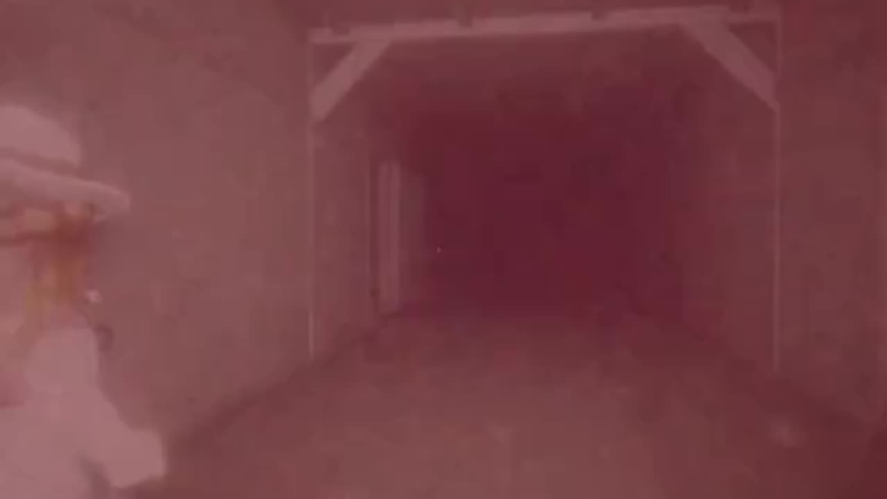 petapeta roblox
