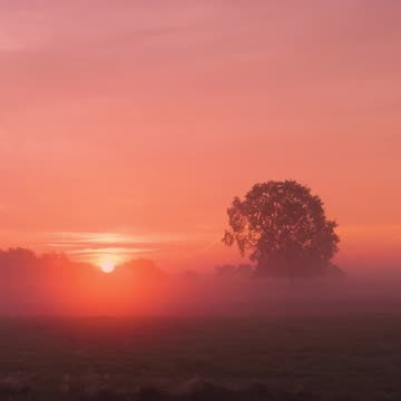 How Great is Jesus? - Psalm 8 #jesus #motivation #scripturereading