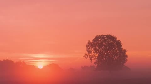 How Great is Jesus? - Psalm 8 #jesus #motivation #scripturereading