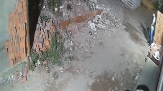 sicarios