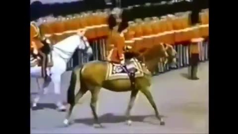 Col. Linda Thompson - Egypt is Israel is Britain is The United States..