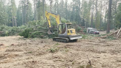 Clearing land for our homesite - Building our off grid homestead