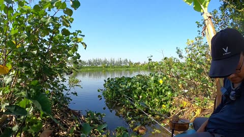 Im Fluss der Träume Fische jagen #Flussfischen #Angelzeit #Natur
