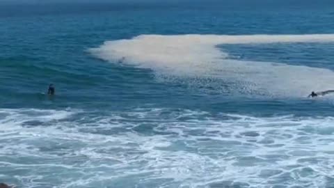 Catch A Wave