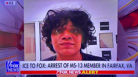 ICE agent injured during arrest of MS-13 gangbangers