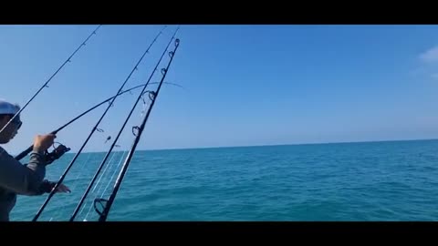 finalmente dinuovo in pesca 1 po piu' grossi e combativi_part6