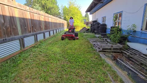 Found His Old Cars Alive – JMQ554802BR #PlantifyLifeUS #ForgottenTreasures