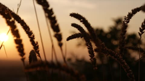Beautiful nature scenery video/calm/relaxing vidro
