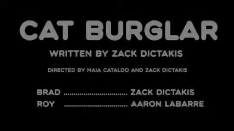 SaturFlix: Cat Burglar by Long Sought Films