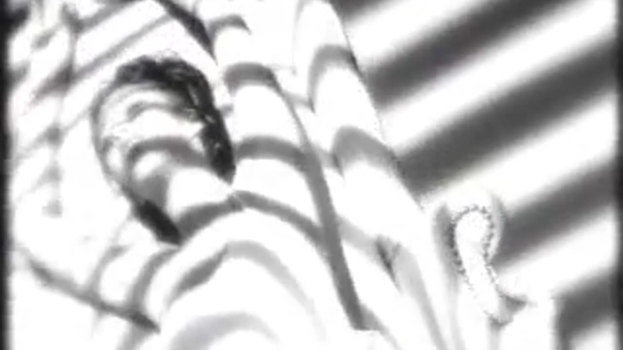 Chante Moore - Old School Lovin