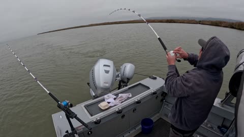 11-28-25 Suisun City, Ca. 28” striper