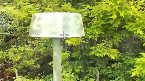 🎯🔧 Ukraine Russia War | Fiber-Optic Drones Destroy Ukrainian Equipment in Sumy | RCF