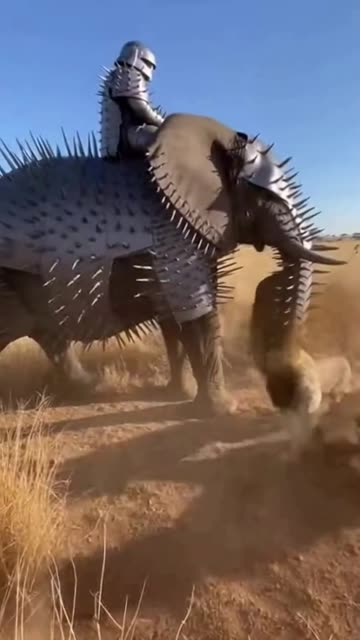 Armored Elephant Rider vs Four Alpha Lions: Extreme Anti-Predator Defense Test #wildlife #funny