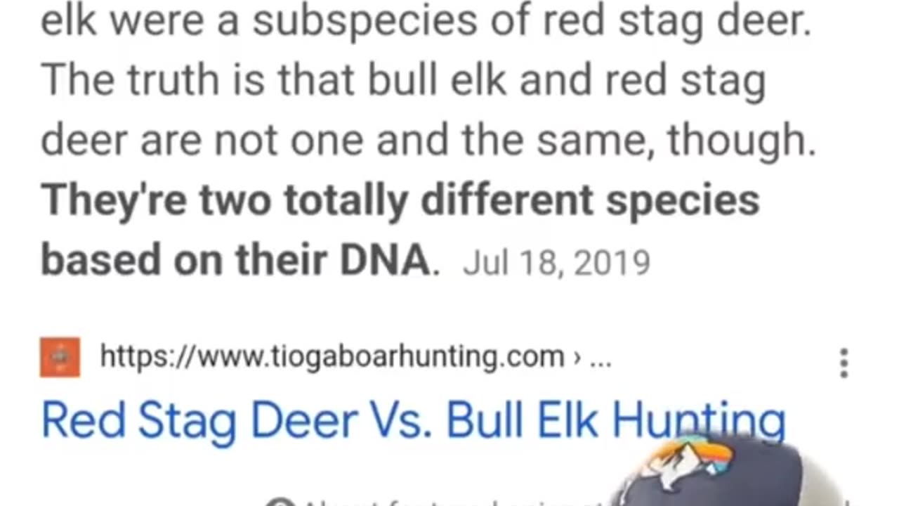 Do hybrid elk exist?